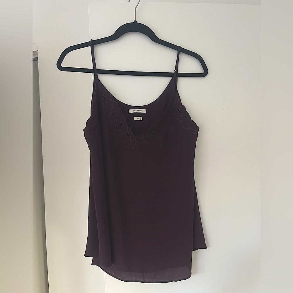 Aritzia babaton top